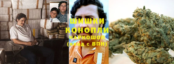 PSILOCYBIN Аркадак